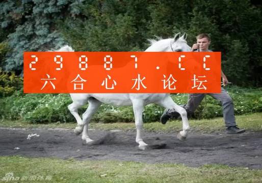 7777788888新版跑狗,最佳精选解释落实