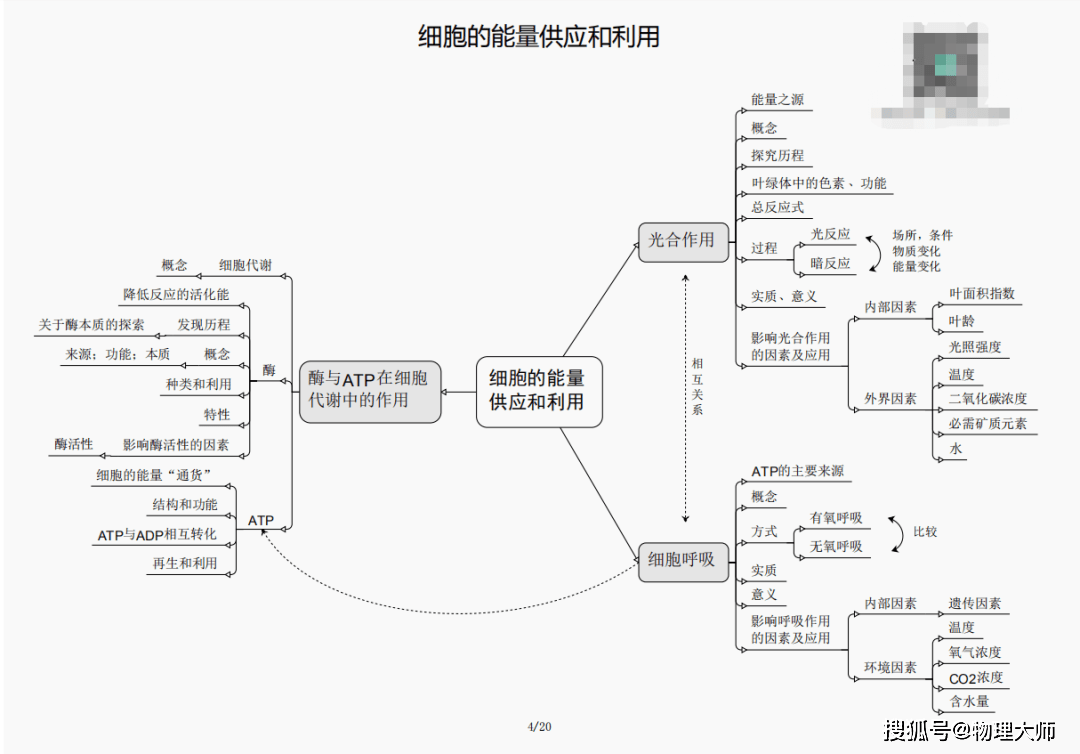 澳门三肖三期必出一期|精选资料解析大全